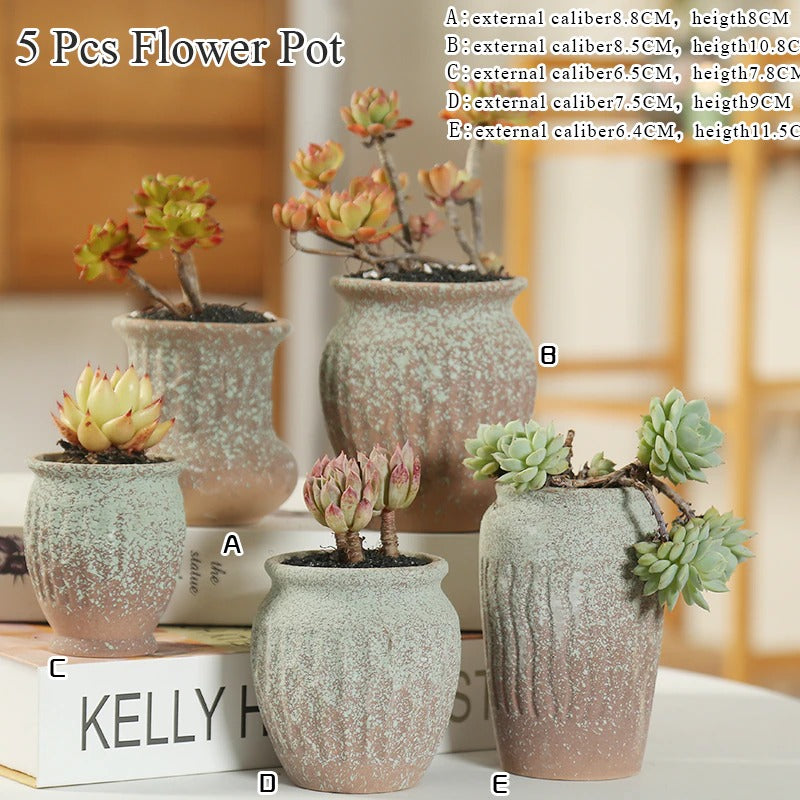 Ceramic Succulent Pot - A