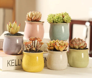 Colorful Ceramic Succulent Pot - B