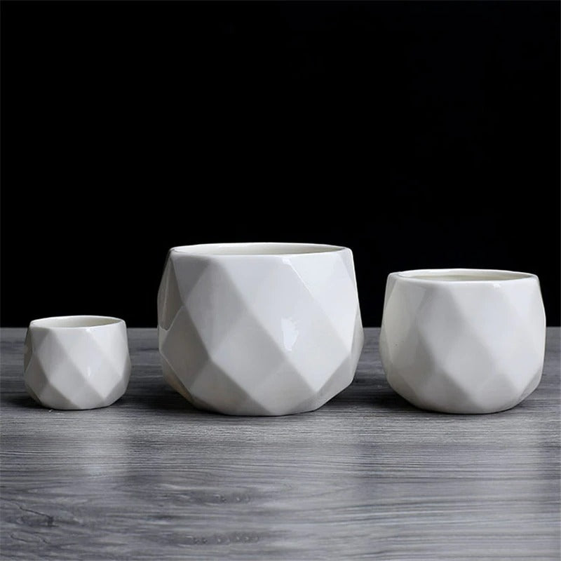Creative Ceramic White Diamond Succulent Pot - F