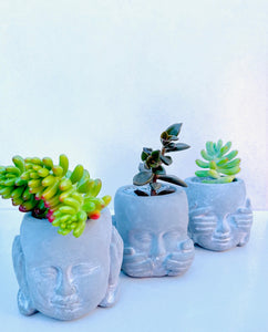 Concrete outdoor succulent flower pot - set of 3