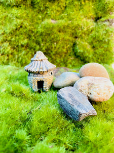 Miniature home succulent decoration
