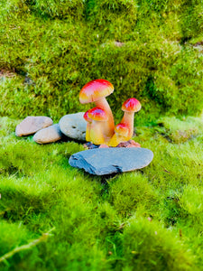 Cute mushroom mini fairy garden miniature